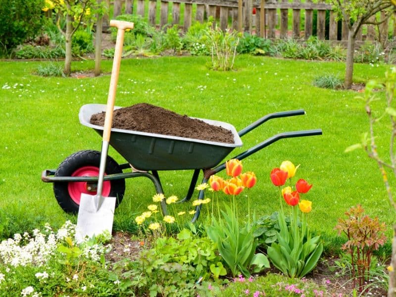 Wheelbarrow filled with garden soil