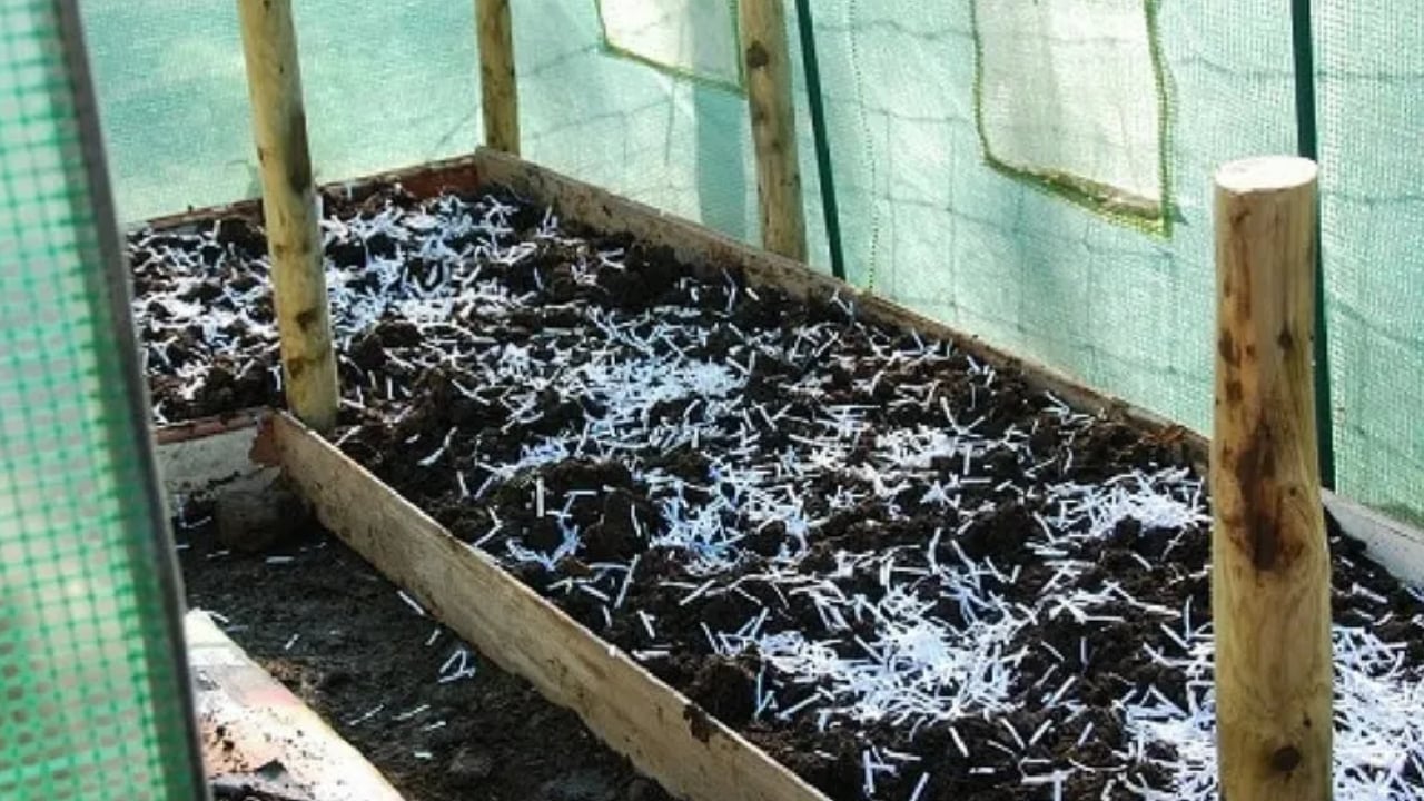 Sprinkle some grass clippings and shredded paper