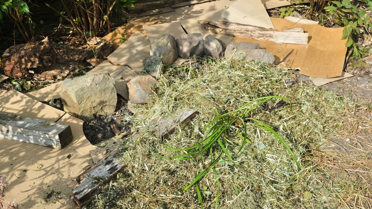 Putting cardboard in a flowerbed to limit the spread of weeds and keep the soil moist. Lasagne method. Part of the area is covered with mulch.