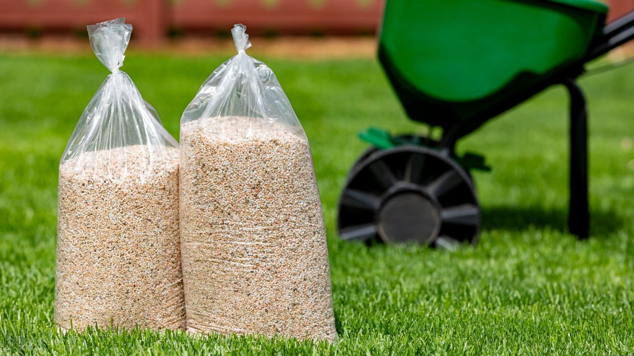 Bags of lawn fertilizer and herbicide with broadcast spreader in yard with healthy grass. Lawn care, weed control and landscaping concept.