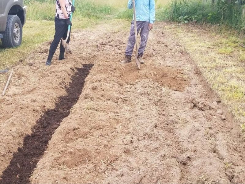 Adding compost to the soil