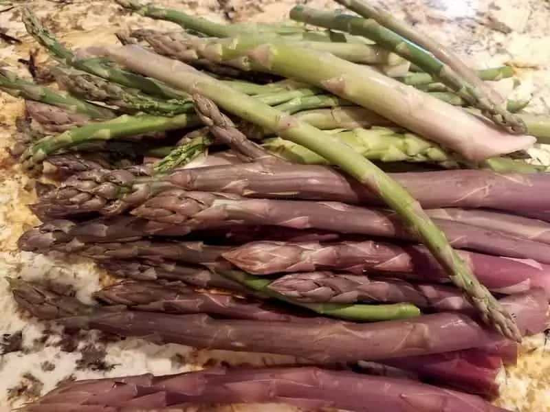 Freshly picked asparagus, ready to cook