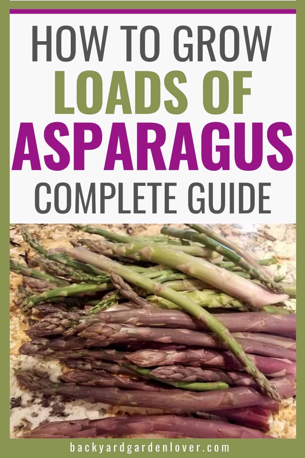 Complete guide to growing asparagus - Pinterest image