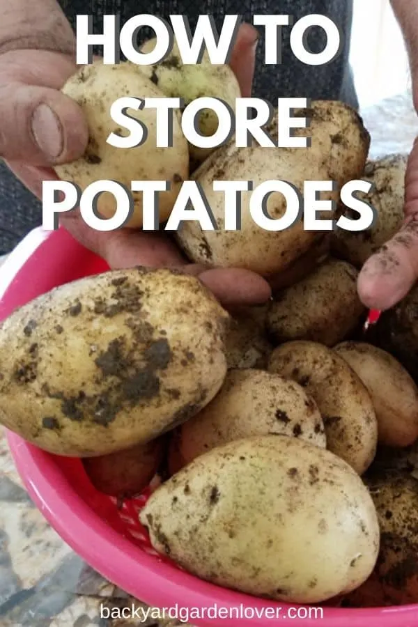How to store potatoes - Pinterest image