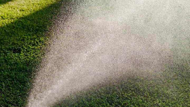 Best Sprinkler For Long Narrow Lawn – 5 To Choose From