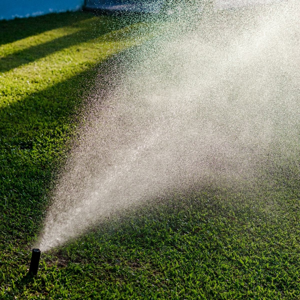 lawn sprinkler