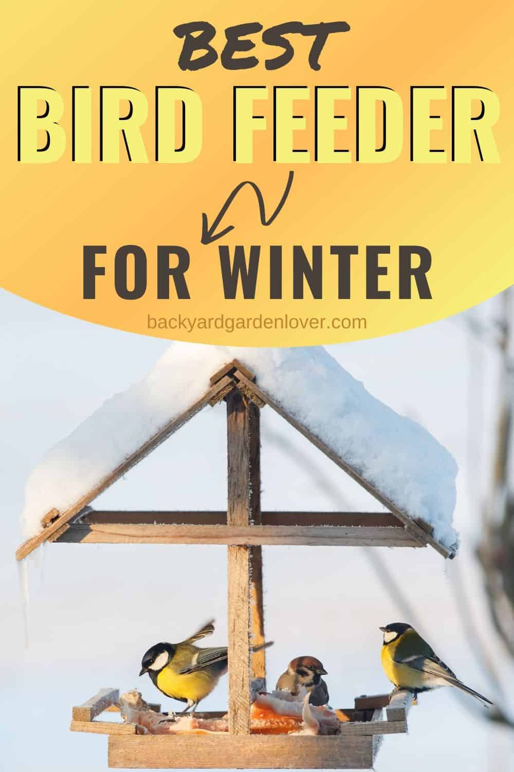 Best bird feeder for winter