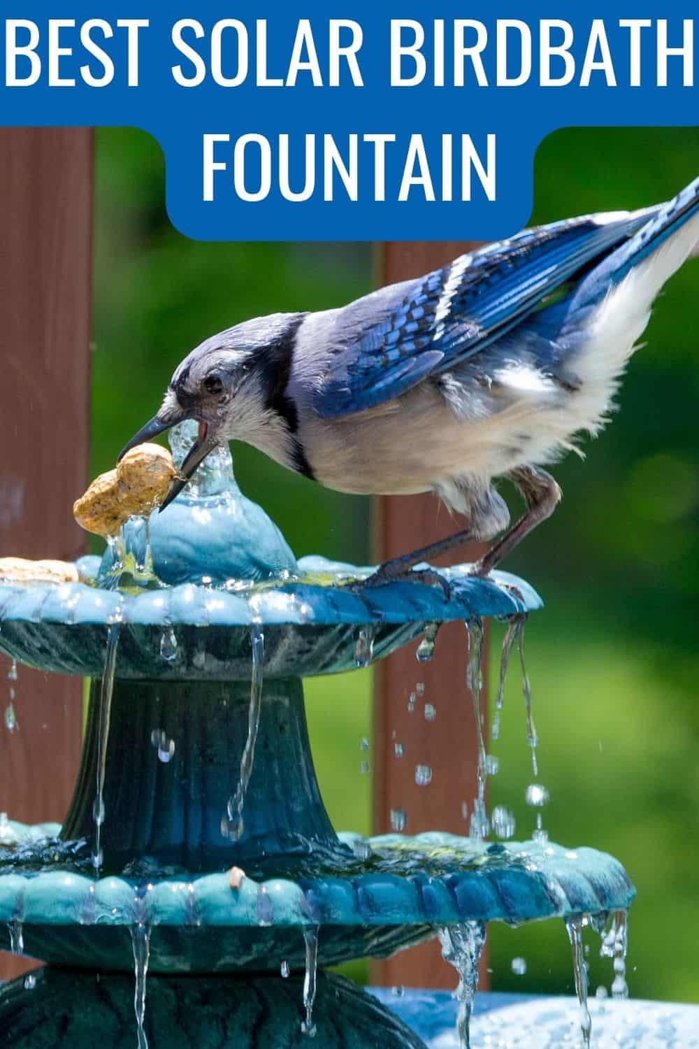 Best solar birdbath fountain