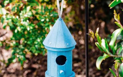 Squirrel Proof Bird Feeder Pole