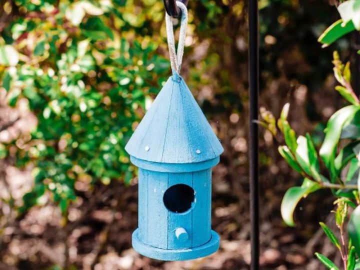 Must Have Squirrel Proof Bird Feeder Pole For Your Feeders