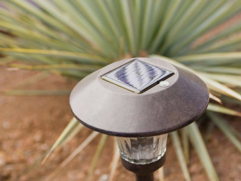 Outdoor solar spotlight