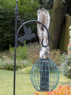 Squirrel hanging on a bird feeder, trying to get at the seed.