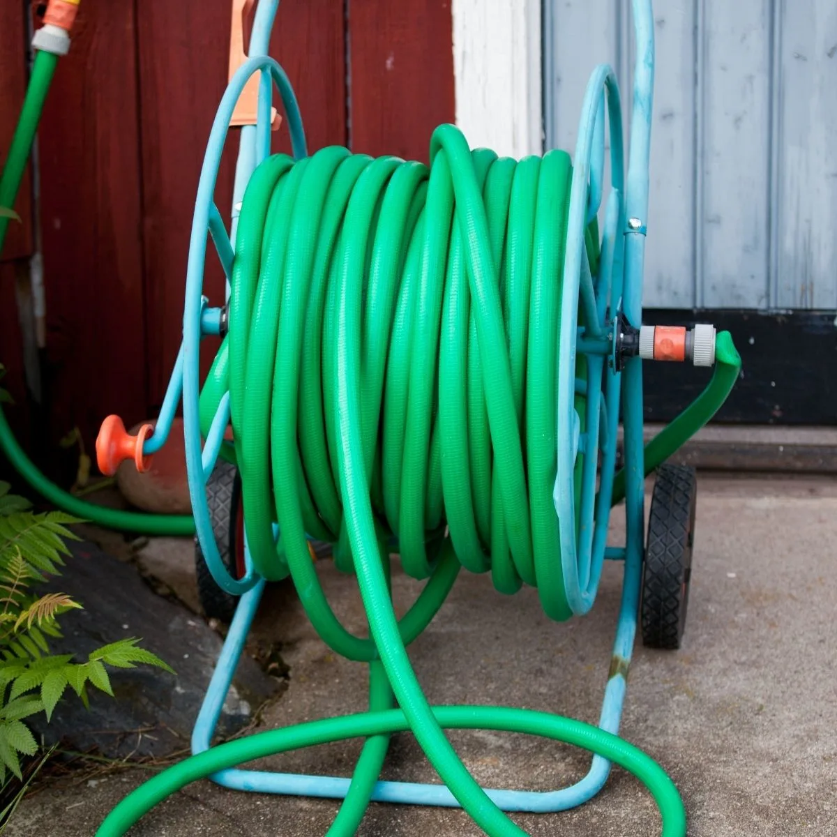 garden hose rolled up nicely
