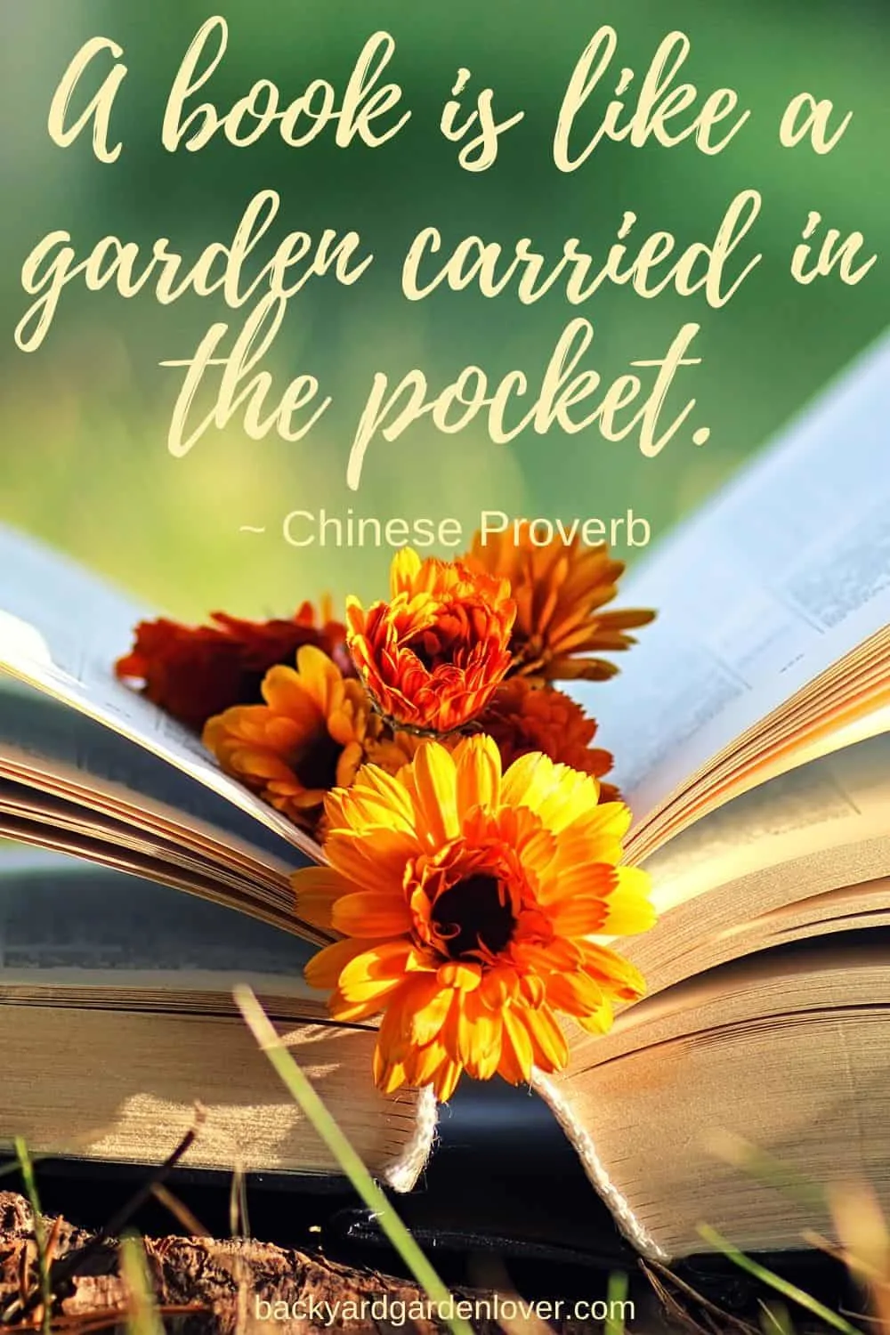 A book is like a garden carried in the pocket.