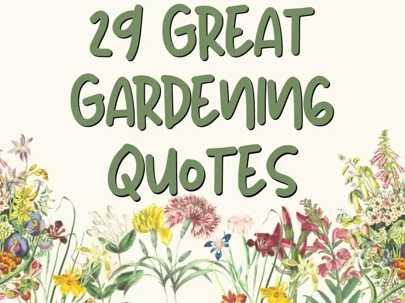 Great gardening quotes