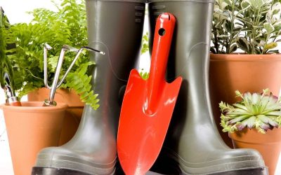 Gardening accessories: pots, boots, mini shovel and some plants