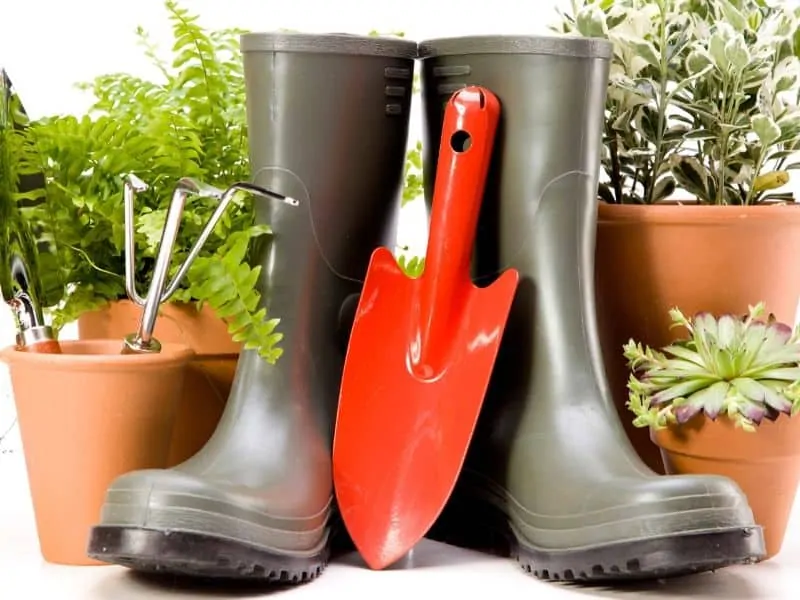 Gardening accessories: pots, boots, mini shovel and some plants