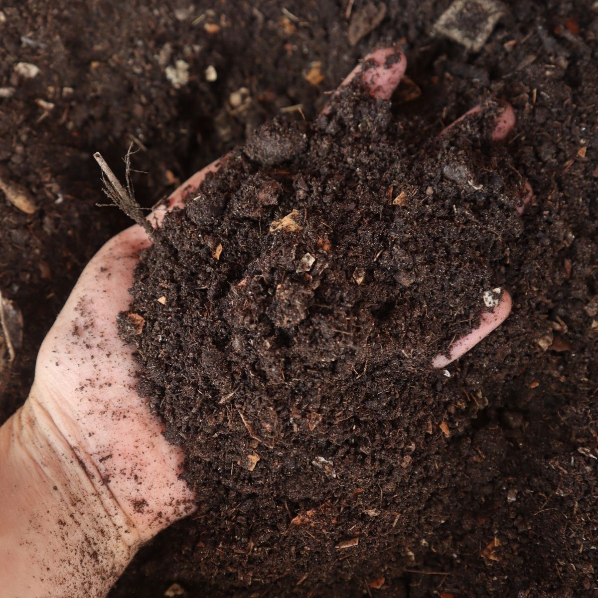 a hand holding compost