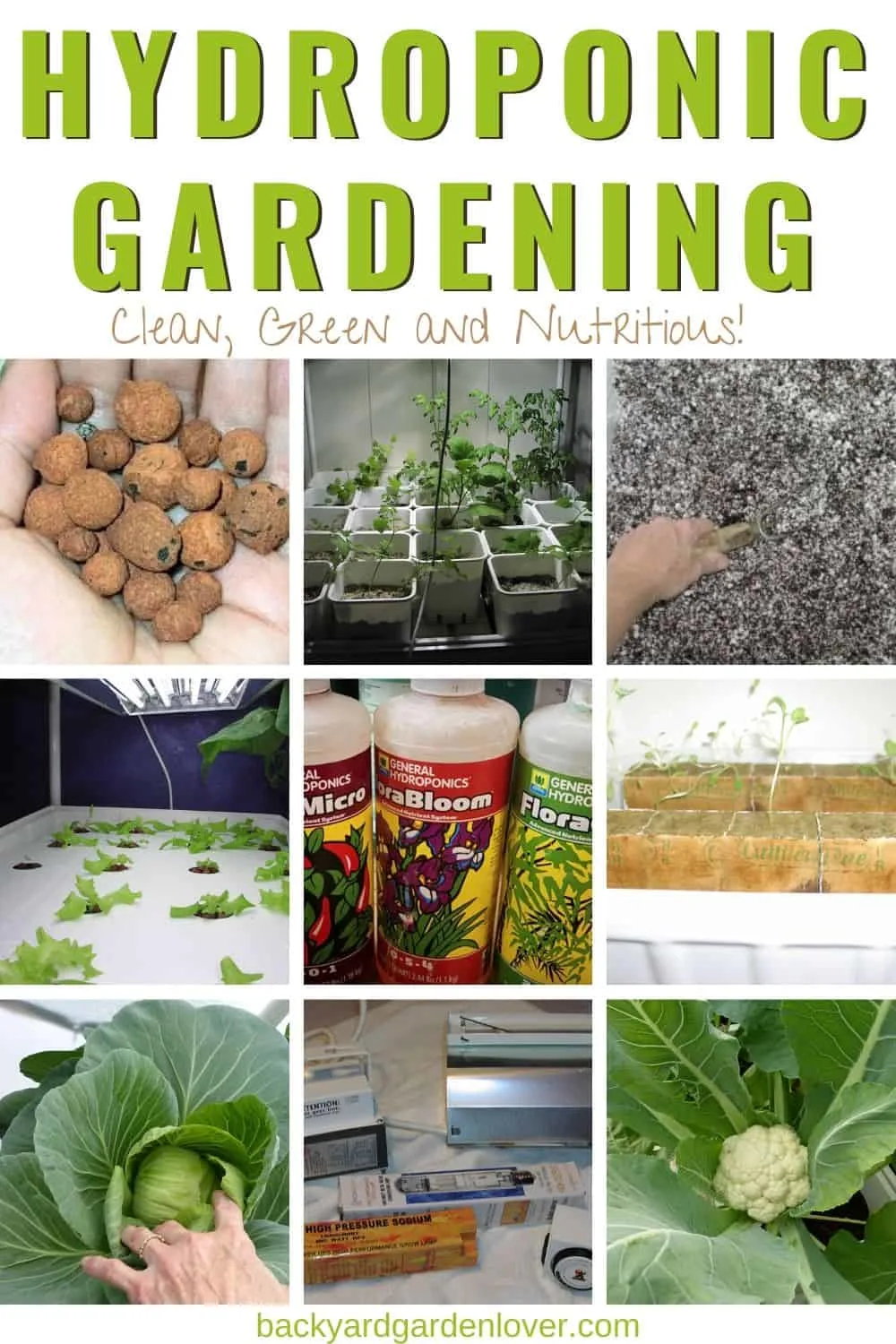 Hydroponic gardening in pictures - Pinterest image