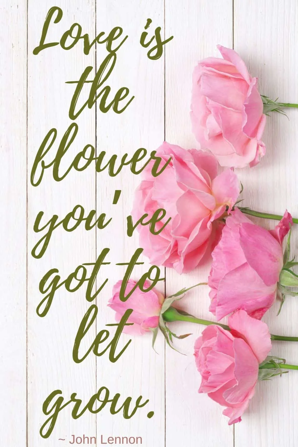 Love is the flower you’ve got to let grow.