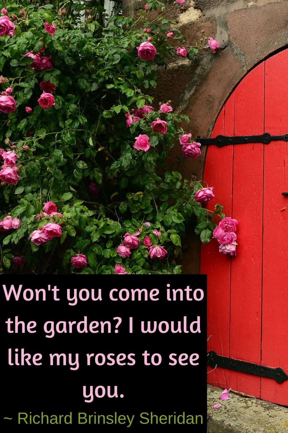 Won't you come into the garden? I would like my roses to see you.