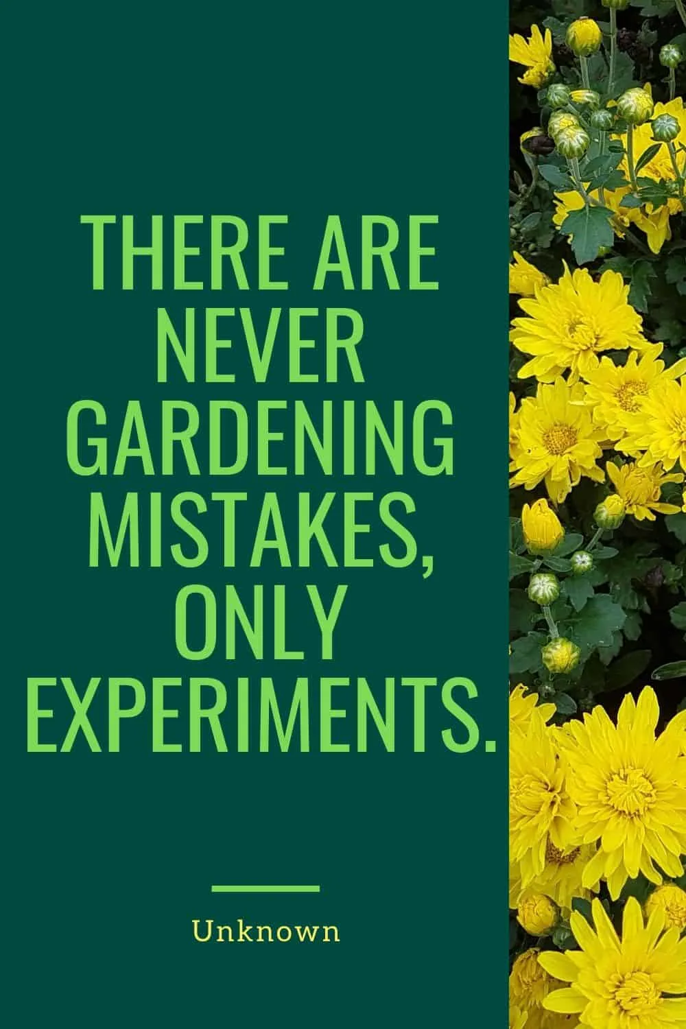 There are never gardening mistakes, only experiments.