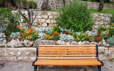 Beautiful garden bench