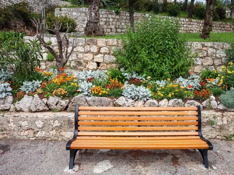 Beautiful garden bench