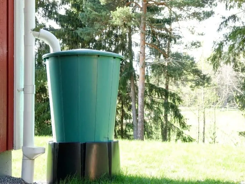 Green rainwater bucket