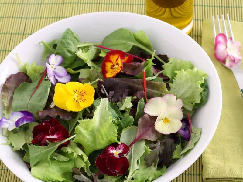 Salad decorated with edible flowers