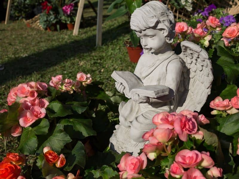 Angel in the middle of a camellia bush