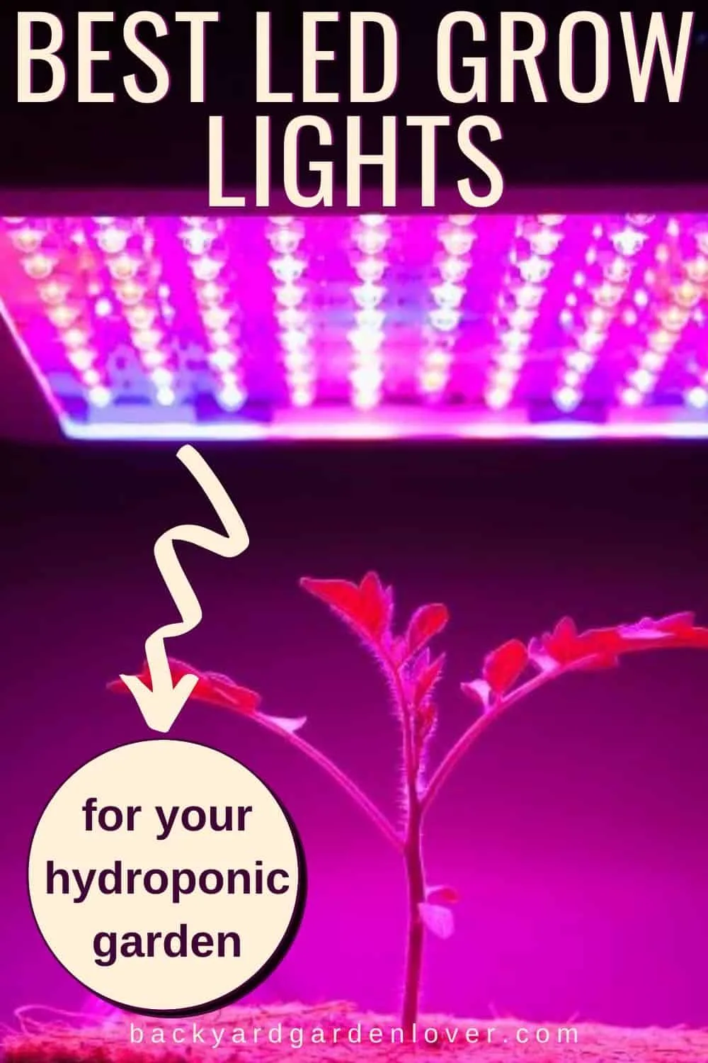 Best LED grow lights for your hydroponic garden