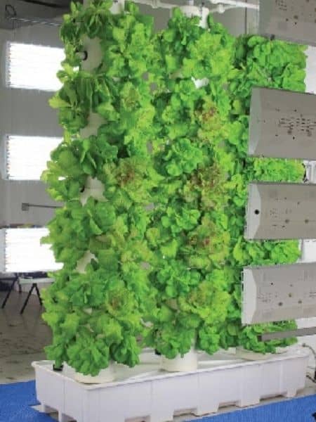 FarmTeck aeroponics vertical garden