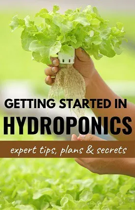 Getting started in hydroponics - ebook cover