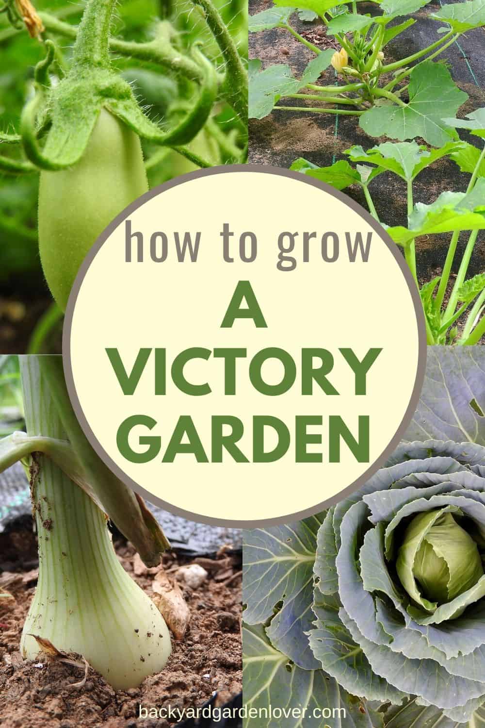How to grow a victory garden