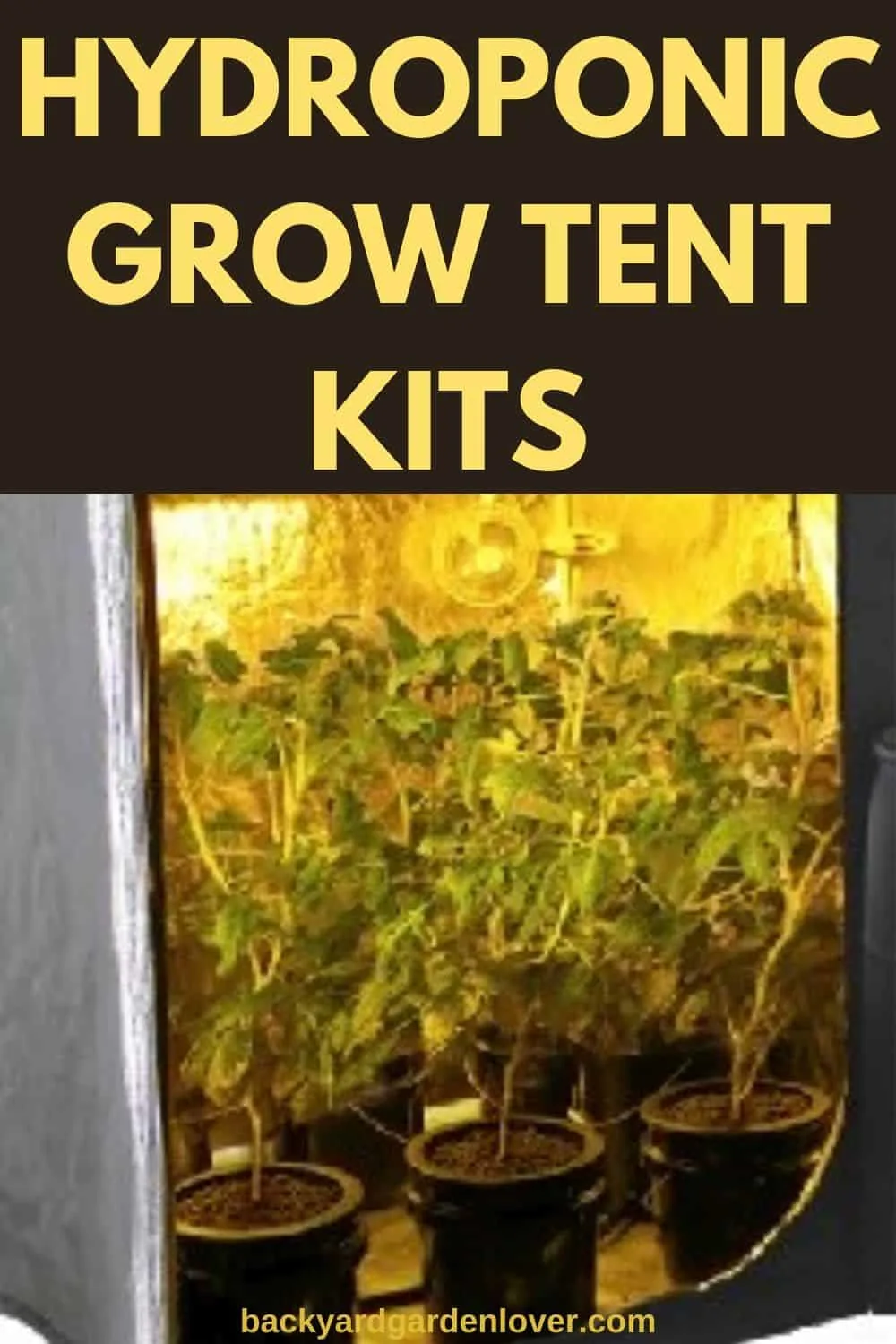 The best hydroponic grow tent kits