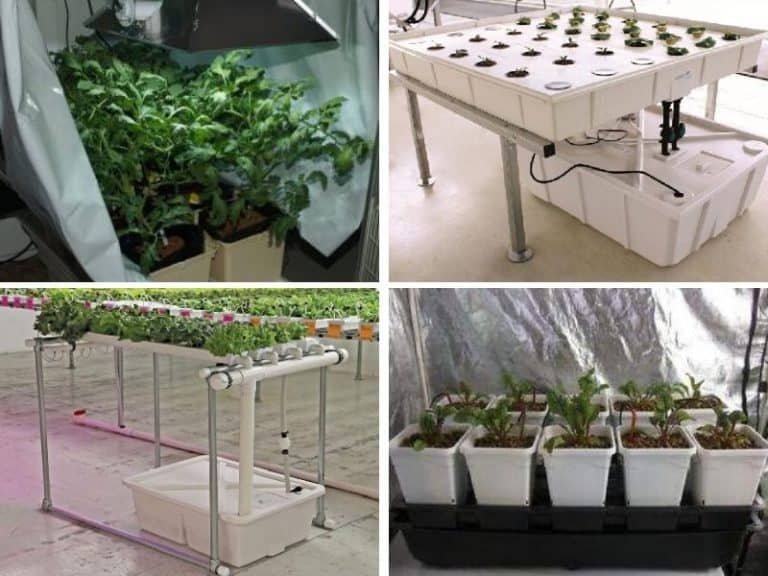 Complete Hydroponic Kits For Growing Vegetables Indoors