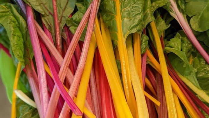 15 Easy Swiss Chard Recipes You’ll Love!