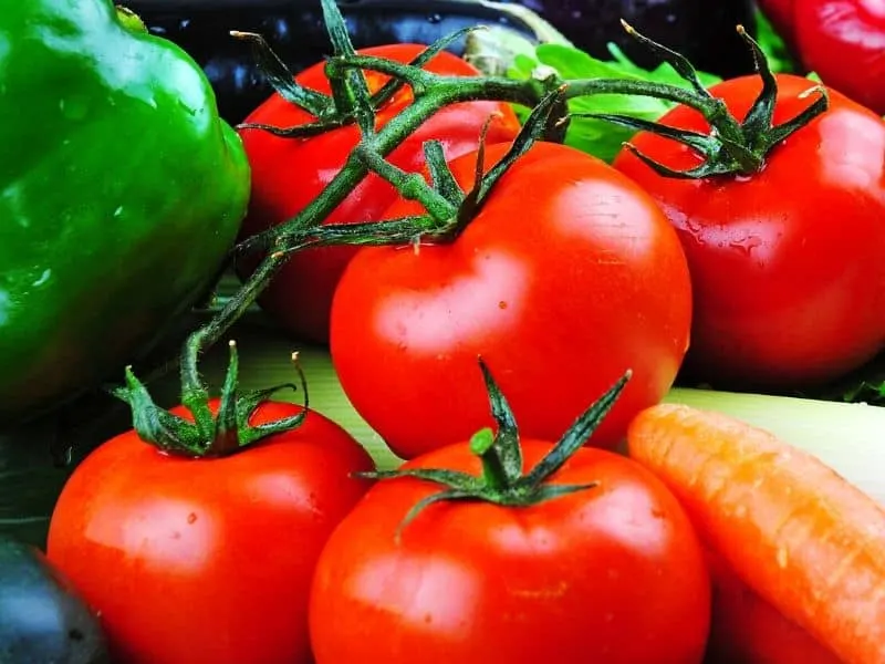 Fresh vegetables: tomatoes, green peppers, eggplants, carrots. 