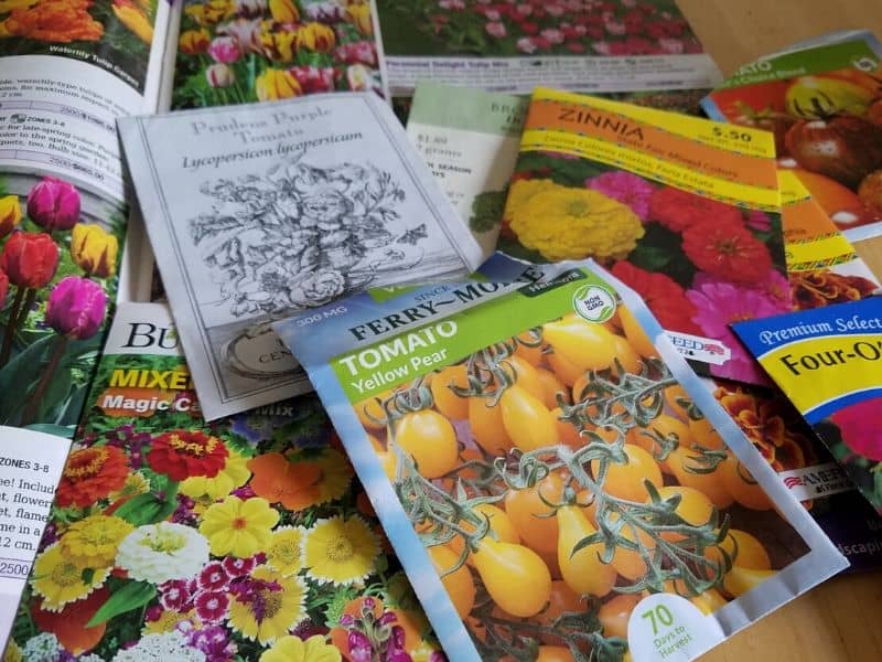 Planning my garden - garden catalogs and seed packets