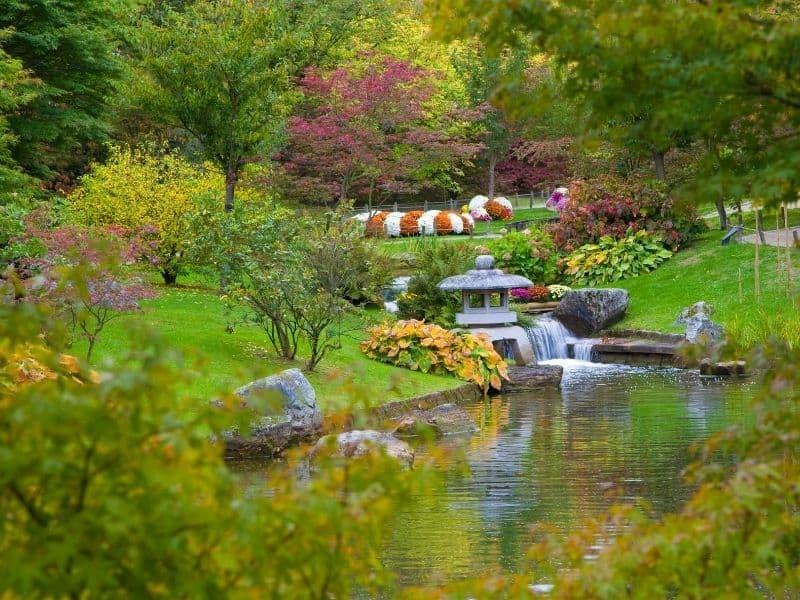 Peaceful Japanese garden