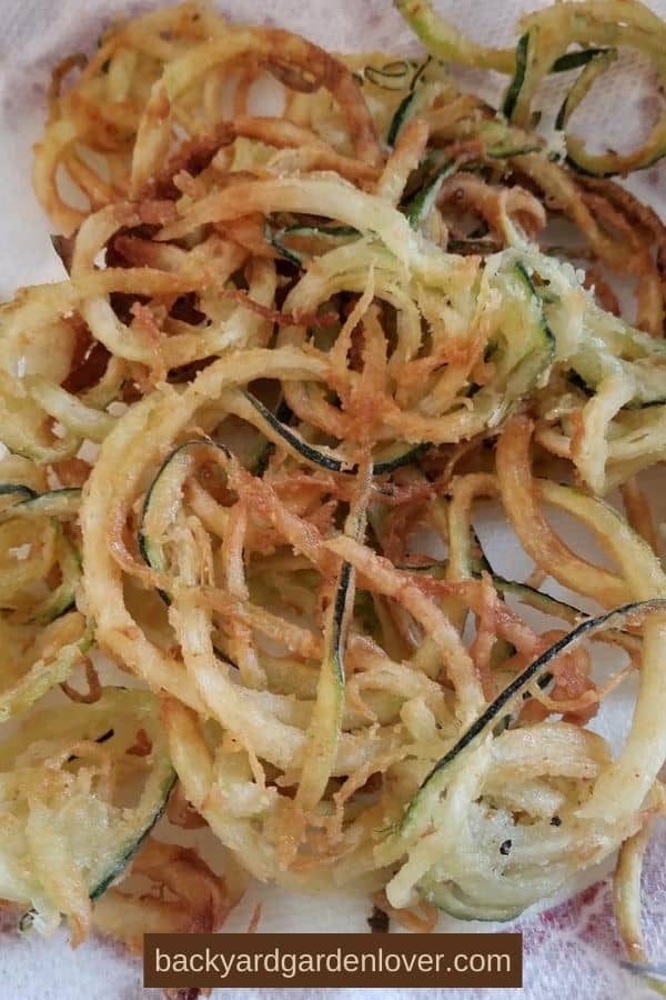 Crispy curly zucchini fries