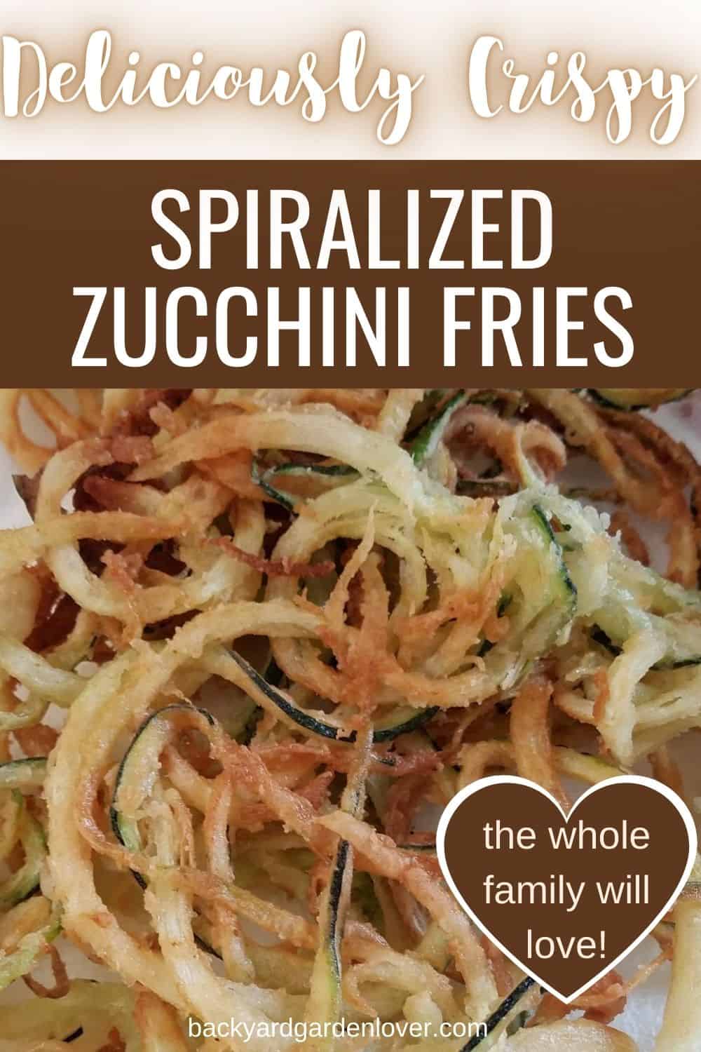 Crispy curly zucchini fries the whole family will love - Pinterest image