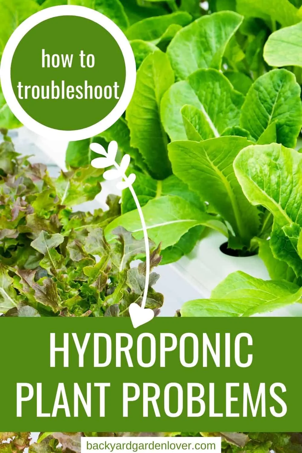 How to troubleshoot hydroponic plant problems - Pinterest image
