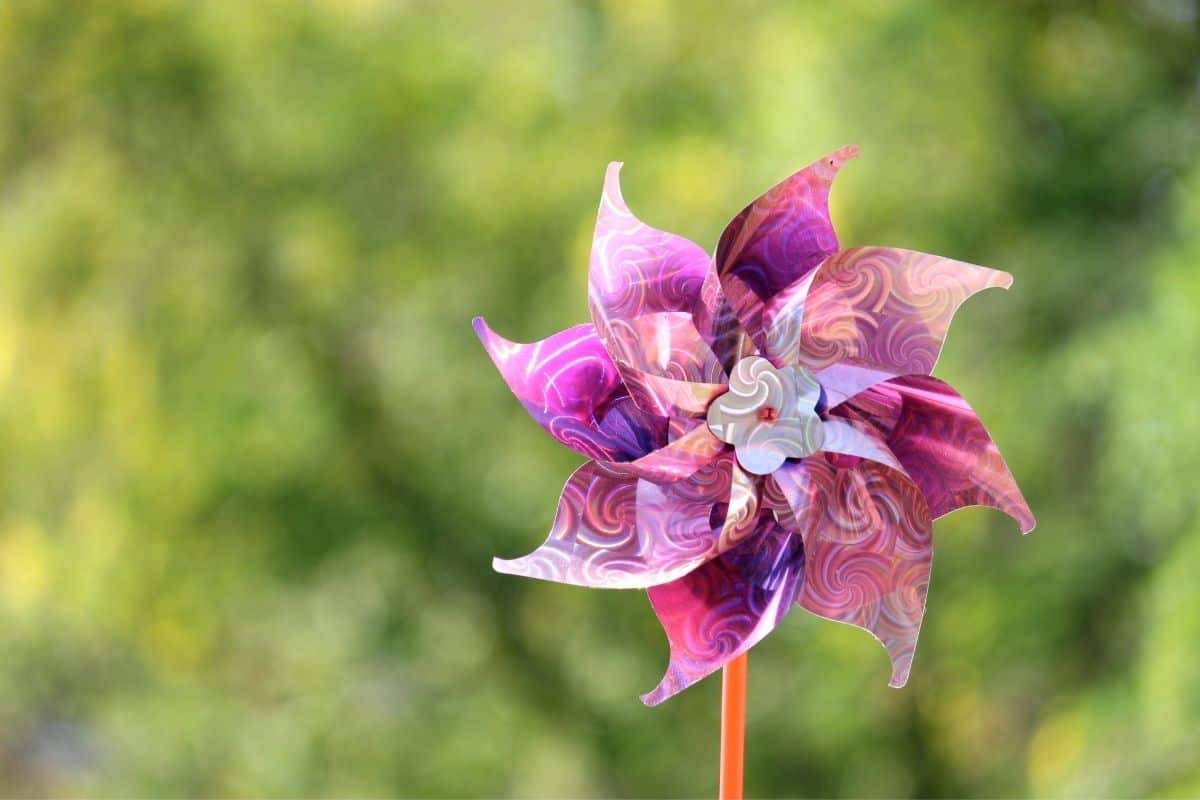 pinwheel in the garden