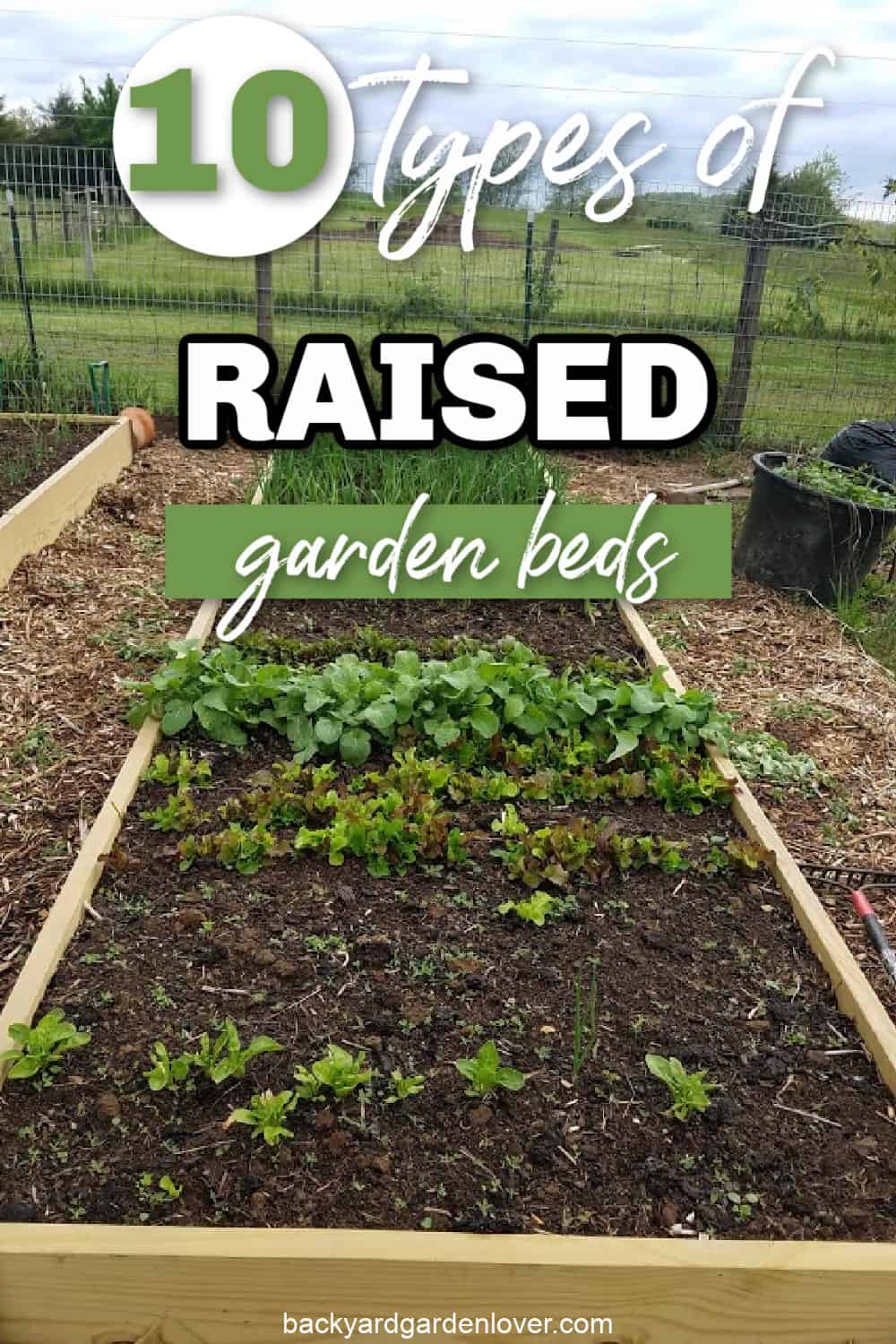 10 types of raised garden beds - Pinterest image