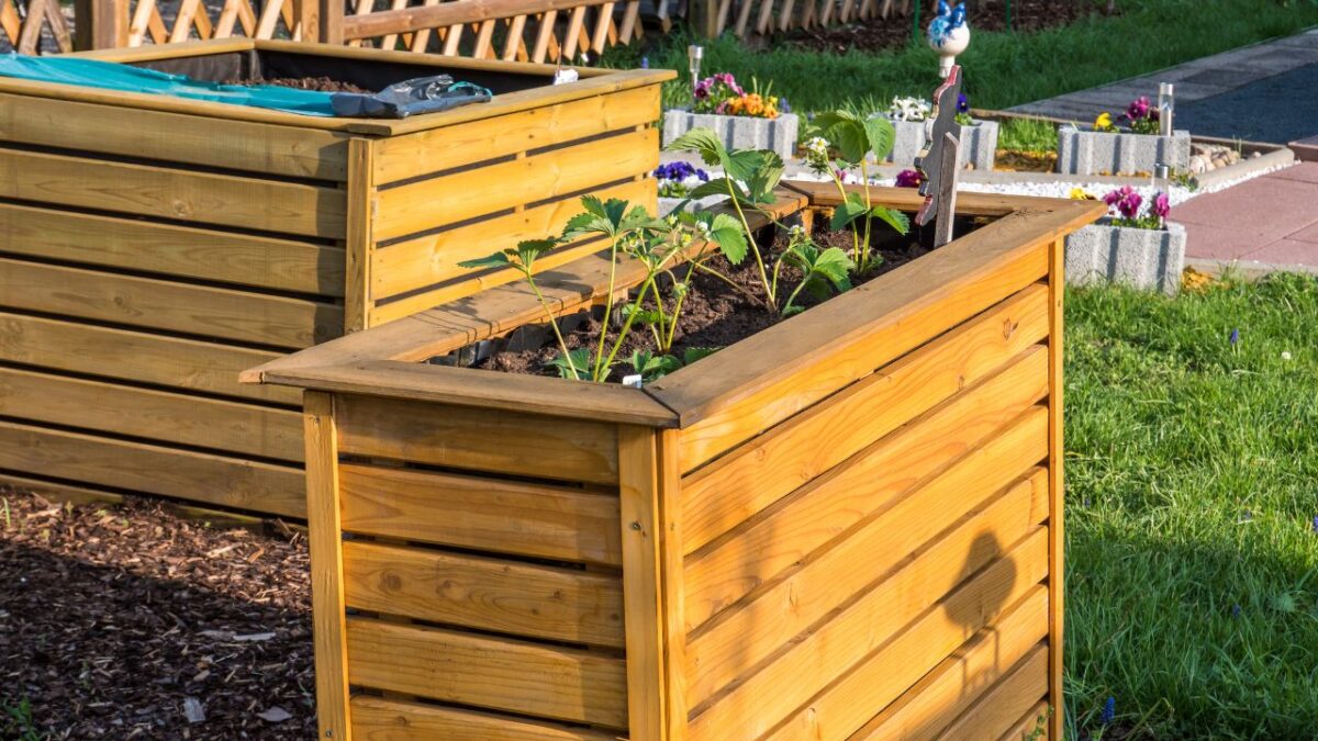 Raised bed in the garden