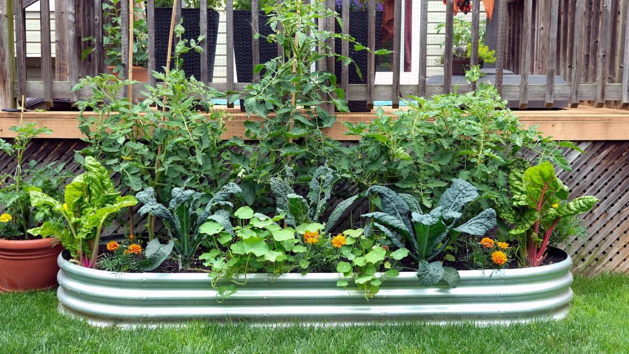 Metal raised garden bed