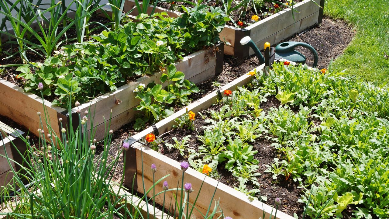 Cedar Raised Garden Bed