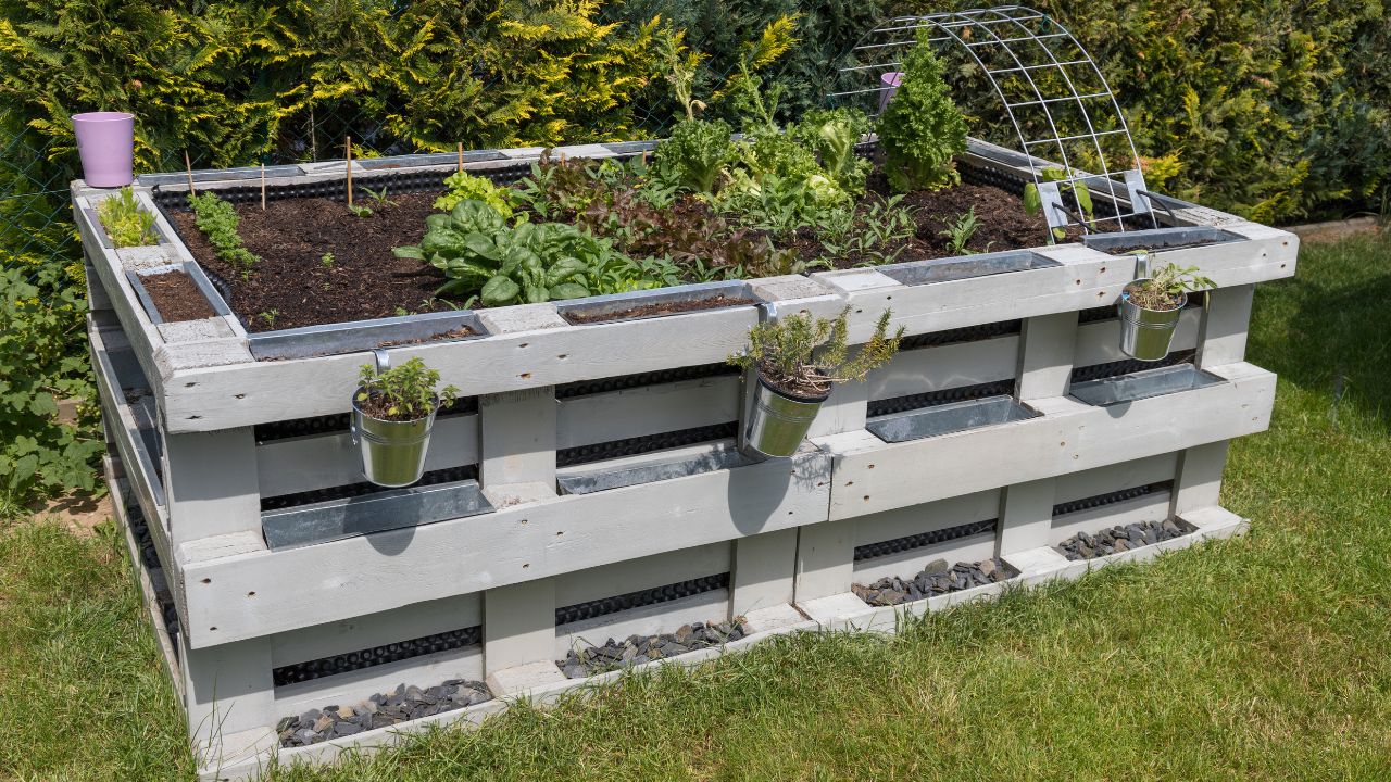 Raised bed gardening with pallets